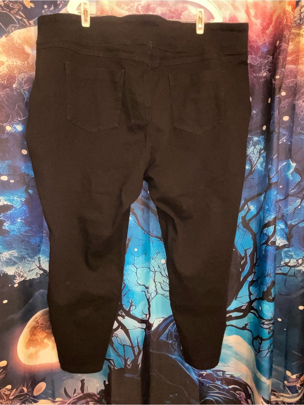 Black Terra & Sky Skinny Jeggings Sz. 3X - Picture 2 of 4